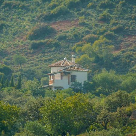 Villa La Torre Rocabella เอลชอร์โร ภายนอก รูปภาพ