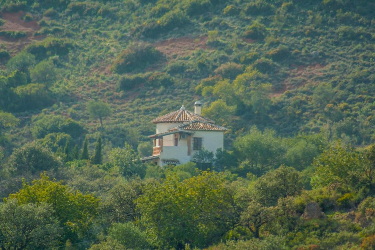 Villa La Torre Rocabella เอลชอร์โร ภายนอก รูปภาพ